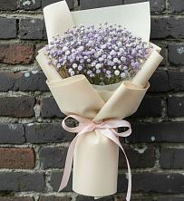 Букет цветов из:  Гипсофила в Магнитный