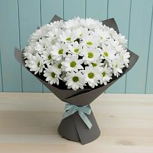 Букет цветов из:  Хризантемы в Магнитный