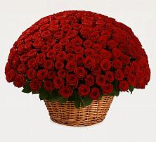 Премиум букет из: Розы в Магнитный