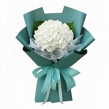 Букет цветов из:  Гортензия #REPLACE_PRED# Магнитный